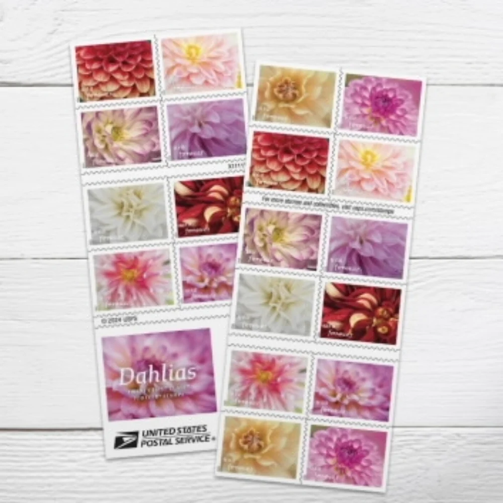 100 Dahlias 2025 Forever Stamps Wedding Invitations USPS Save The‎ Date
